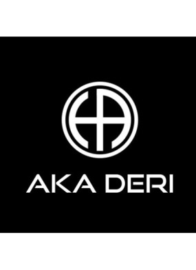 Sed ut perspiciatis unde