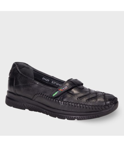 Forelli-29429 ELENA